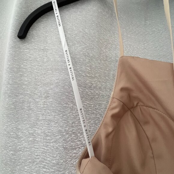 Watters & Watters Beige Spaghetti Strap Full-Length Formal Gown Dress Style 2509 - Picture 7 of 13